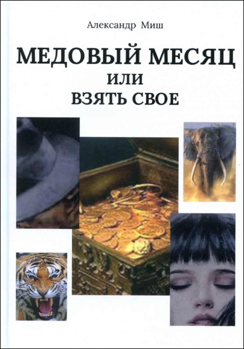 А. Миш «Медовый месяц или взять свое»